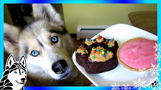 Strawberry Ice Cream For Dogs And Birthday Pupcakes  DIY Dog Treats