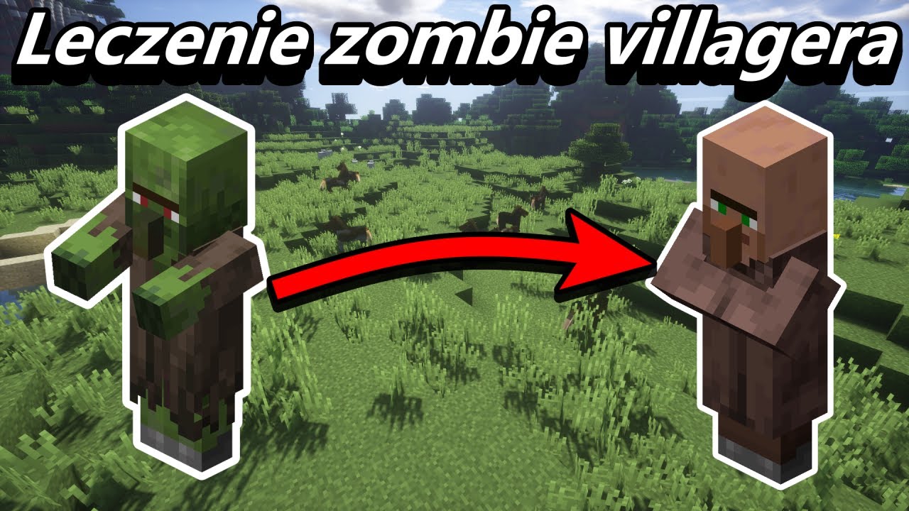 Jak Zmienić Zombie Villagera W Villagera