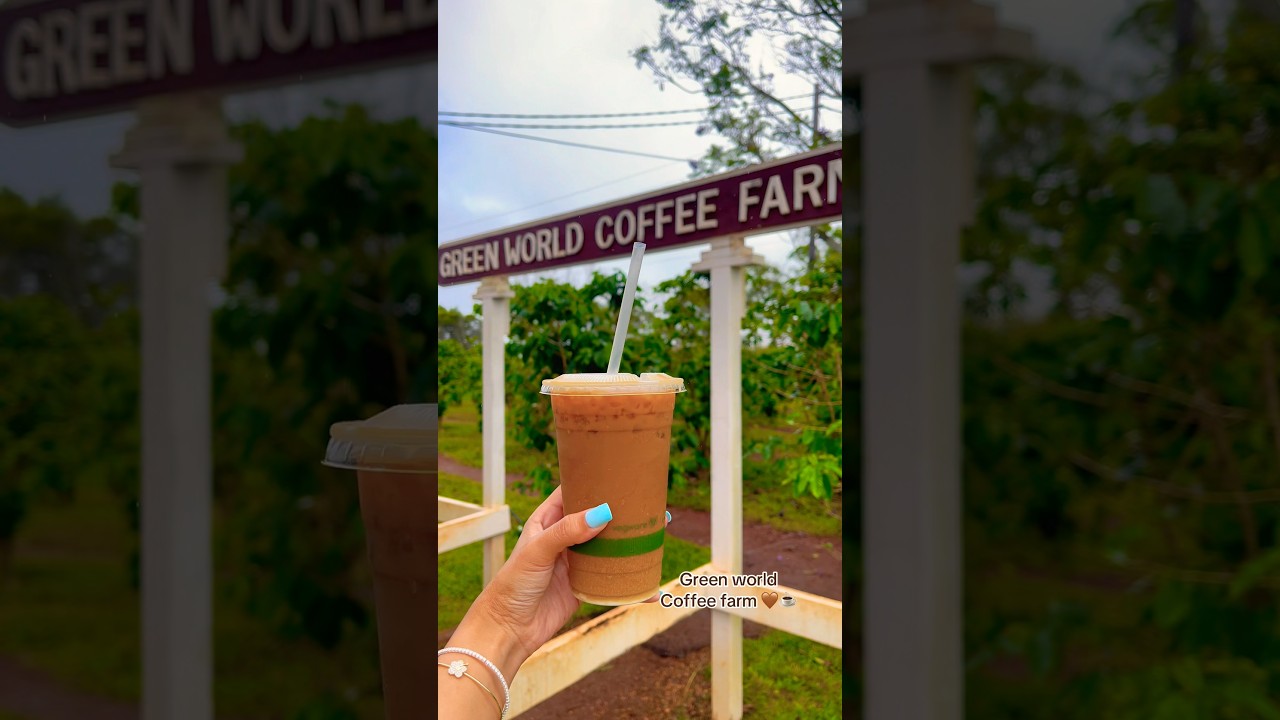 Hawaii Greenworld coffee farm 