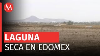 La laguna de Zumpango en crisis por sequías en sus últimos tres años