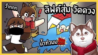 ลิฟต์สุ่มวัดดวงไปไหนก็ได้! หมาสติแตกเจอคลื่นยักษ์ ! 🐾