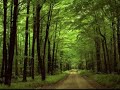 روضة الناظر د عبدالكريم النملة 13 من القراءات التي نقلت نقل ا غير متواتر إلى المحكم والمتشابه روضة الناظر د عبدالكريم النملة 13 من القراءات التي نقلت نقل ا غير متواتر إلى المحكم والمتشابه