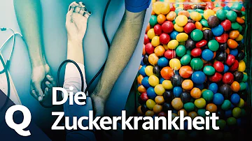 Kann man von viel Zucker essen Diabetes bekommen?