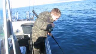 РЫБАЛКА В НОРВЕГИИ.ПРИЕМНИК)))http://wild-fishing-norway.ru/