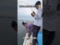 Yang penting 🎣🎣🎣 #fishing #mancing #belajarmancing #pemula #mancingmania #anglersagala #pancing