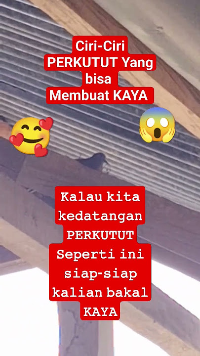 Perkutut Lokal ALAM yang Bikin KAYA 7 Turunan || Ciri2 Perkutut bikin kita kaya