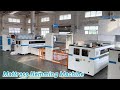 Industrial mattress hemming machine 4 sides non shuttle for quilts