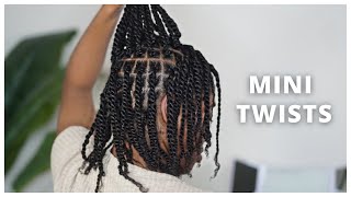 THE BEST Mini Twists on Blown Out Hair | Summer Routine!