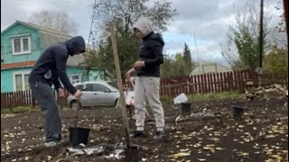 Первый опыт ( сажаем деревья ) на дачном участке. Так проходят - Выходные мастера по маникюру.