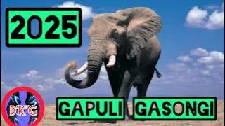 GAPULI GASONGI UJUMBE BHOBHA DEMI PRD MADULU STUDIO MSAMBAZAJI DOTO K GASHI 2025