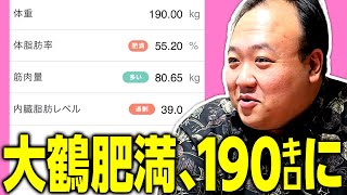 大鶴肥満、ついに190キロになる #ママタルト