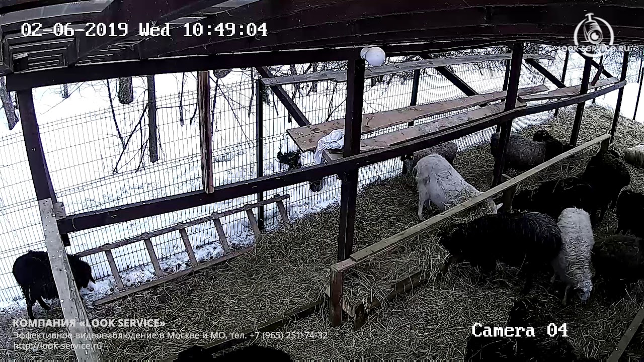 Пример записи с камеры HiWatch DS-I250 - YouTube