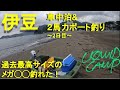 自己記録更新！？メガ○○釣れた！　車中泊&２馬力ボート釣行　VOL.36