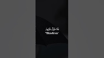 إن الذين قالوا ربنا الله ثم استقاموا فلا خوف عليهم | سورة الأحقاف | القارئ عبدالله الموسى