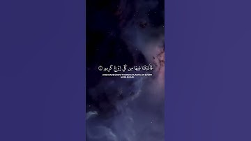 ﴿ خَلَقَ السَّمَاوَاتِ بِغَيْرِ عَمَدٍ تَرَوْنَهَا ۖ ﴾[ لقمان: 10] القارئ ياسر الدوسري #قران_كريم