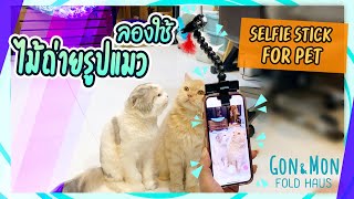 ถ่ายรูปน้องแมวยังไง❓❓ ให้รอด ❗️❗️ - Selfie Stick For Pet