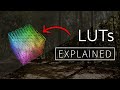 LUTs Explained! 1D vs 3D LUT?