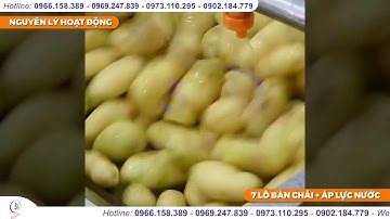 Thực Tế Khách Sử Dụng Máy Chà Rửa Vỏ Gừng Tự Động CX60| Điện Máy 3G