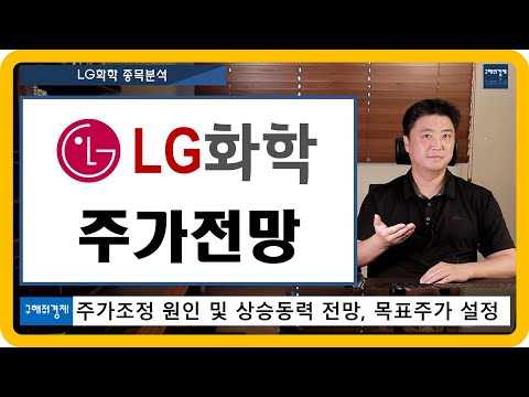 종목분석 LG화학 주가전망 주가 조정 원인 및 상승동력 전망 2차전지 소재사업 평가 목표주가 설정 