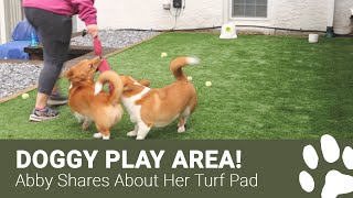 Artificial Grass for Dogs: Abby's Story