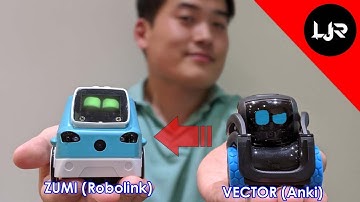 Can Zumi Become Vector?