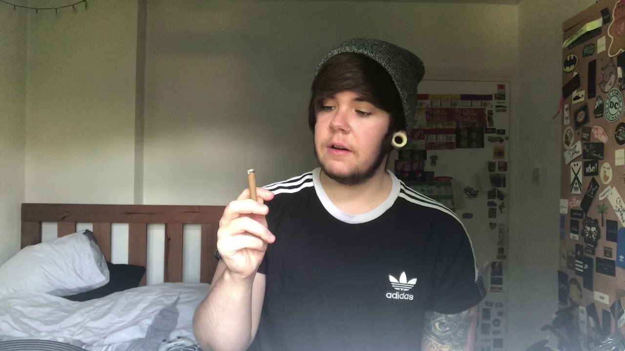 Double Platinum Blunt Wrap: Purple Review