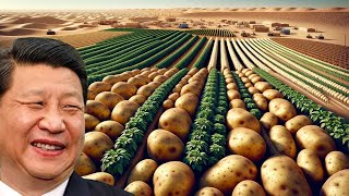China Transforms Desert into Potato Farms, Harvesting Millions of Kilograms Annually