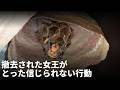 巣を撤去されたスズメバチの女王のまさかの行動。残された卵はヒヨコへ