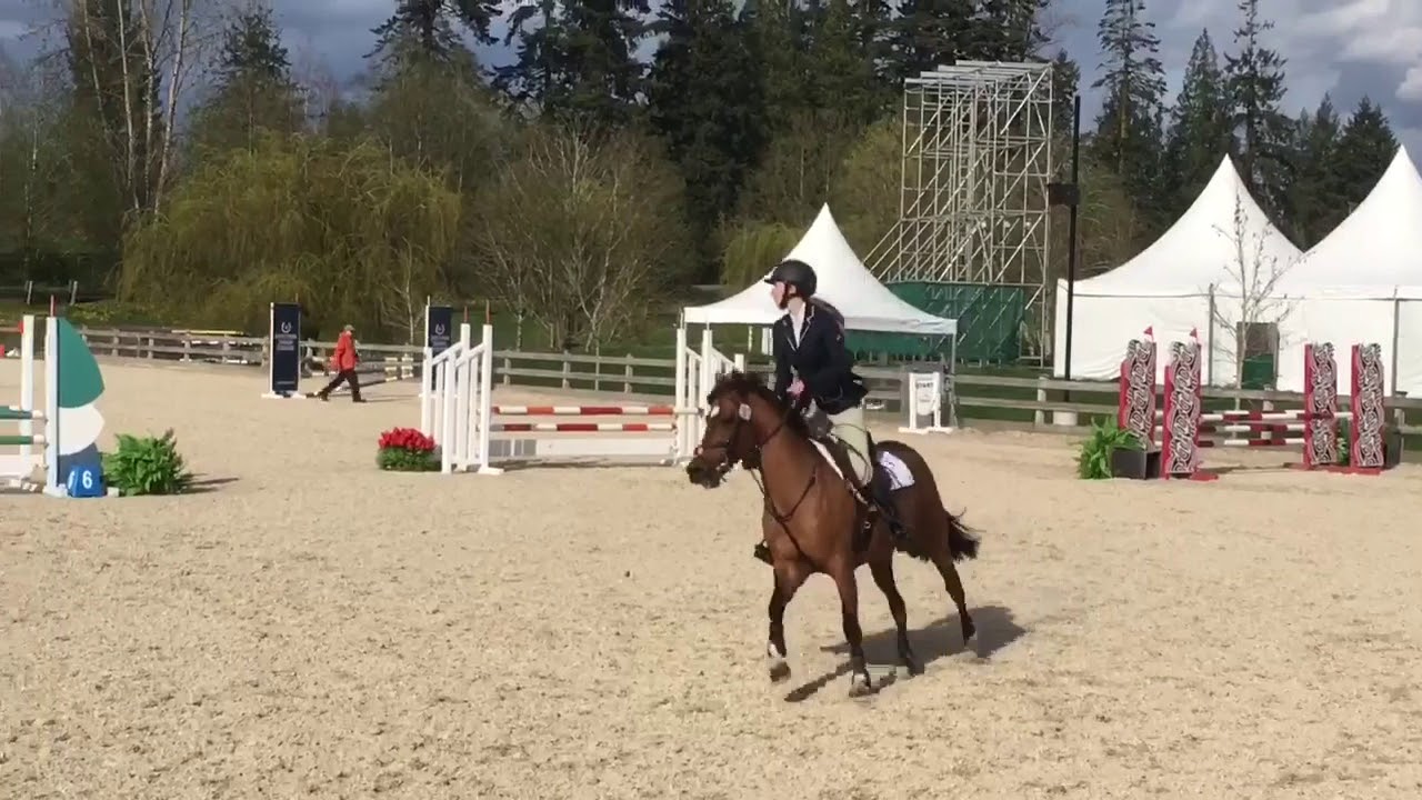 Supernova // .90 Pony Jumper Champion
