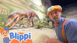 Blippi Visits the Pacific Science Center | Learning Animals For Kids | Moonbug Kids