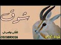 شيله مدح باسم شوق 2022 شوق بنت ابوها افخم شيله عروس باسم شوق شيلات شوق حماسيه طرب رقص جديده 
