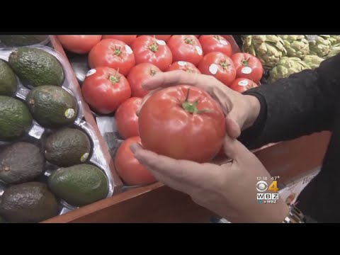 וִידֵאוֹ: Azoychka Beefsteak Tomatoes - למד כיצד לגדל צמח עגבניות Azoychka