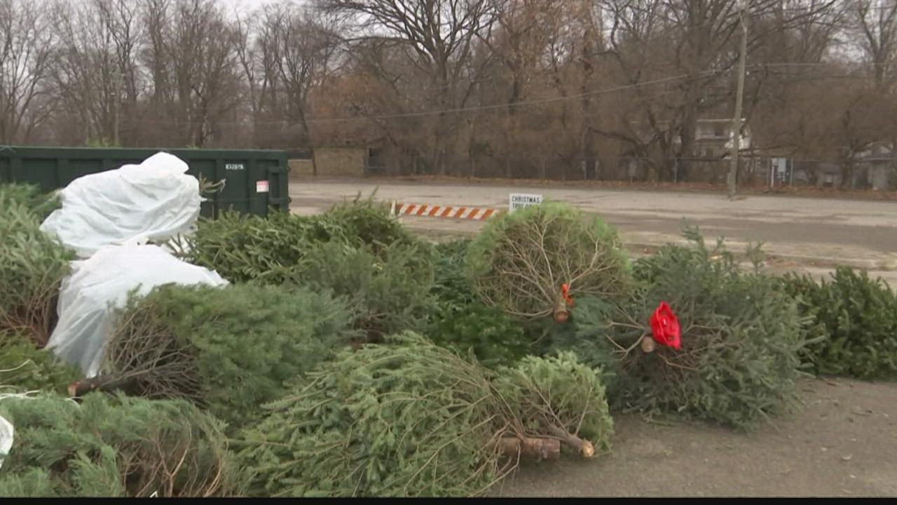 Indianapolis Christmas tree recycling dates and locations announced
