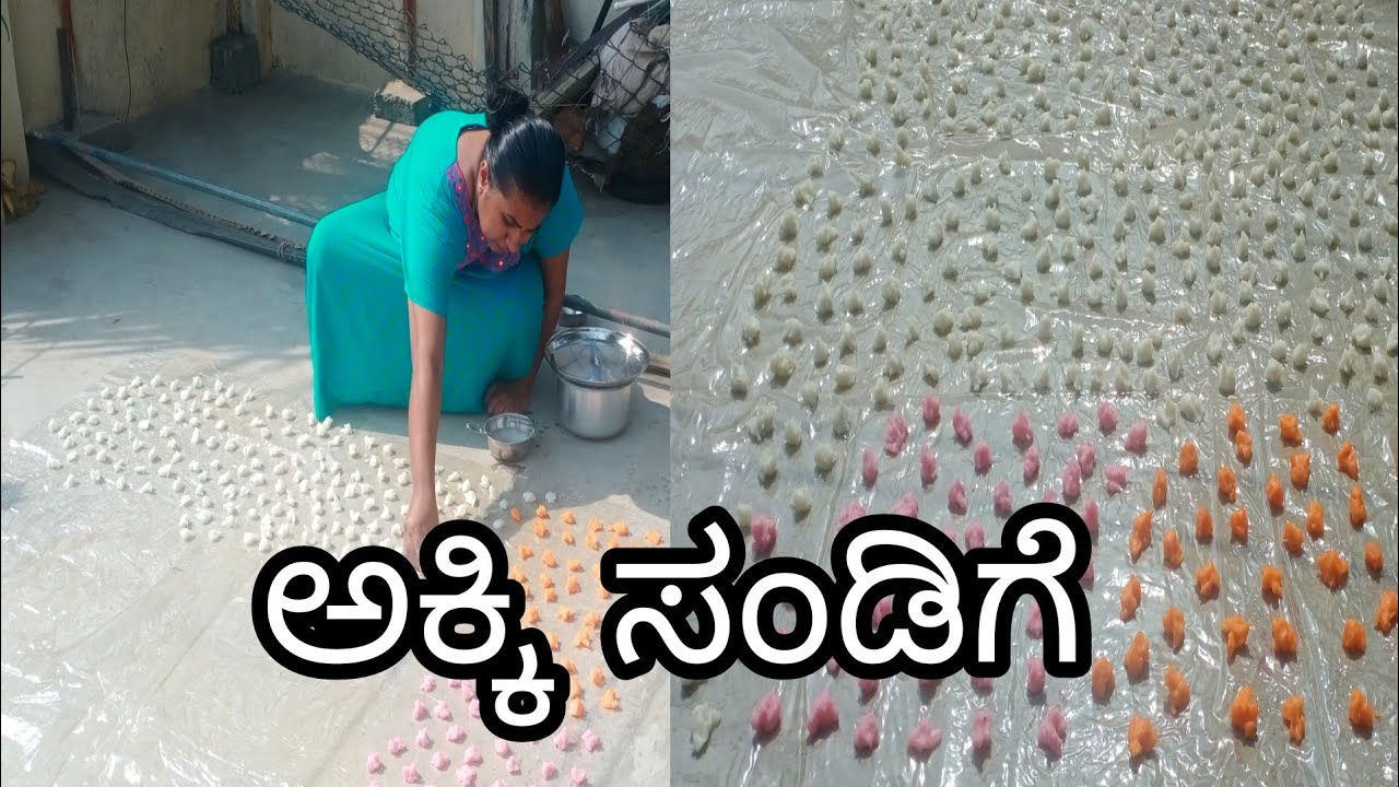ಸಾಂಪ್ರದಾಯಿಕ ಅಕ್ಕಿ ಈರುಳ್ಳಿ ಸಂಡಿಗೆ ಮಾಡುವ ವಿಧಾನ l Akki Sandige Recipe in Kannada l #Sandigerecipe