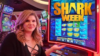 I Hit the Bonus on a SHARK WEEK Feeding Frenzy Slot Machine in Las Vegas! screenshot 5