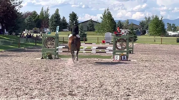 Event at Rebecca 2022 Show Jump