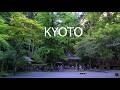 Mùa Hè ở Kyoto Nhật Bản