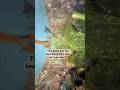 Hey Aqua Decoders!! Bet you have never seen Betta Pair in a natural pond #underwater
