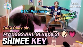[C.C.] How to train Comme des Garcons into impressive dogs #SHINee #KEY