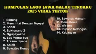 KUMPULAN LAGU JAWA GALAU TERBARU 2025 VIRAL TIKTOK || Playlist lagu jawa terhits