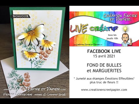 Vidéo: Coussin Décoratif 