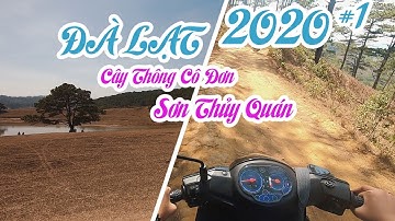 Hành trình đi tìm Cây Thông Cô Đơn và Ăn Thử Sơn Thủy Quán