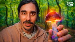 Mushrooms Showed Me Something I Didnt Want To See
An honest look at faith, hope, and letting go. Dakota shares spontaneous moments of awakening and sits down with Raghu Markus to talk about taking leaps of faith and embracing the mystery.
Watch the full interview with Raghu Markus for more conversation about faith, spirituality and psychedelics here: https://youtu.be/TzIjmKwFcNY
Welcome back to The Flower Heads Show! In this episode, we explore:
- Mental health struggles and facing nihilism with a new, awakened perspective
- Dakota’s spontaneous moment of faith and pure grace
- What it means to trust the mystery and release control
- Spirit messages during an indigenous psychedelic ceremony in Mexico
- The profound truth that arises in moments of silence
- A powerful reflection on faith from Raghu Markus
- Sinking into faith and surrendering to the present moment
About Dakota Wint:
Dakota Wint is a documentary filmmaker, vlogger, podcast host, and spiritual teacher from Detroit, Michigan. His films and podcasts revolve around current events, strange spirituality, and taboo traditions. Dakota grew to fame as an internet personality via his popular YouTube channel, Dakota of Earth. Dakota hosts retreats around the world and runs a non-profit focused on cultural and language preservation. Learn more about current happenings on his website.
All spiritual practice is about remembering, for me. This is my spiritual practice. Its about paying attention so that when these moments happen, I can be conscious of them. So, when the ‘love serve remember message comes through in the form of a mushroom, in the form of Maharaj-ji, in the form of someone asking me for some change, in the form of my own mother, any way that it approaches, my practice is to try to remember. –Dakota Wint
About Raghu Markus:
Raghu Markus spent two years in India with Neem Karoli Baba and Ram Dass. He has been involved in music and transformational media since the early 1970s. He is currently the Executive Director of the Love Serve Remember Foundation and hosts the Mindrolling Podcast on the Be Here Now Network. Along with Duncan Trussell, Raghu also recently co-created The Movie of Me to the Movie of We.
“When you speak about intentionality with a being that is no longer in two, no duality, youre missing the point…there is no intentionality, it is just whatever is in the flow of that which is true.” –Raghu Markus on Neem Karoli Baba
Subscribe today so you dont miss a single video podcast from Be Here Now Network: https://www.youtube.com/@BeHereNowNetwork
You can catch more of your favorite shows like Krishna Dass Pilgrim Heart Podcast, Sharon Salzbergs Metta Hour Podcast and the Mindrolling Podcast with Raghu Markus over on our sub-channel, Be Here Now Podcast Network 2: https://www.youtube.com/@BHNNPodcasts2
Be Here Now Network
Podcasts, Courses, and Articles to help you live a Life in Balance.
Heart-Centered wisdom from Ram Dass, Jack Kornfield, Sharon Salzberg, Krishna Das + many more!
Be Here Now Network delivers weekly insights into mindfulness, self-discovery, and Eastern philosophy through engaging podcasts, articles, and videos featuring renowned spiritual teachers. Inspired by Ram Dass timeless wisdom, our platform serves as a guiding light for seekers on their path to greater awareness and inner peace.
Whether youre exploring meditation, conscious living, or spiritual growth, our top-rated mindfulness podcasts provide thought-provoking discussions and practical wisdom. We believe that by transforming our own hearts, we can create a ripple effect of compassion and presence—one heart at a time.
Start your journey today and deepen your connection to mindfulness with Be Here Now Network. Mushrooms Showed Me Something I Didnt Want To See