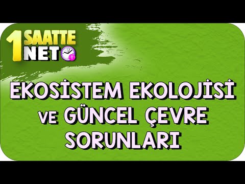 TYT Biyoloji Ekosistem Ekolojisi ve Güncel Çevre Sorunları #kamp2023