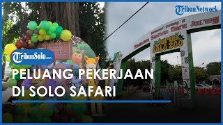 Buka Lowongan Pekerjaan Besar besaran, Solo Safari Tawarkan 12 Posisi, Begini Nasib Karyawan Lama