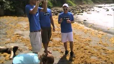 St. Vincent Island-Stubbs Beach-Review.wmv