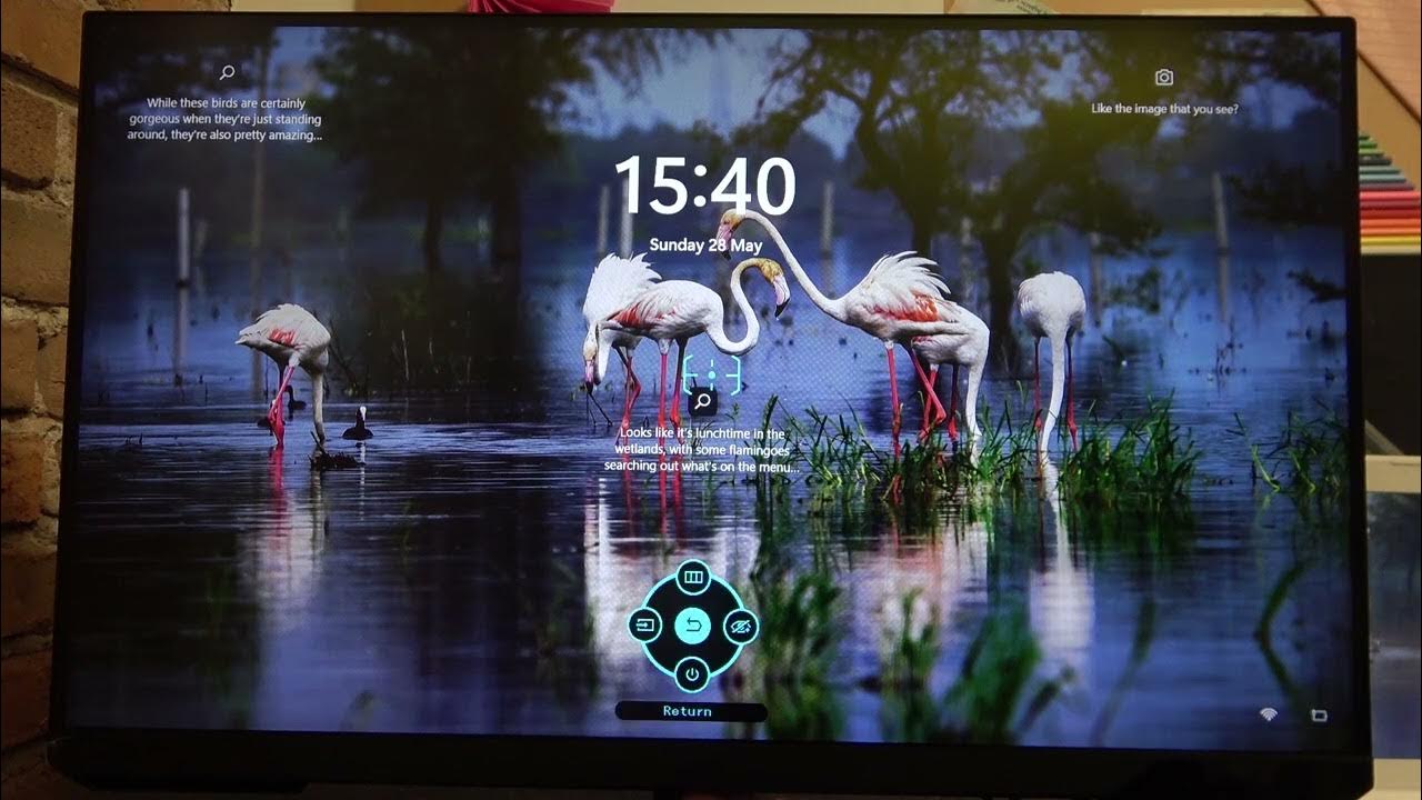How To Change HDMI Black Level on Samsung Odyssey G3? YouTube