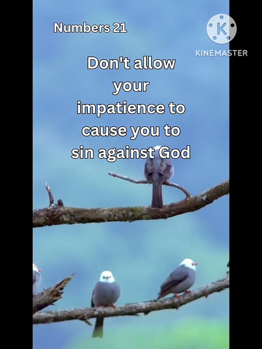 Impatience leads to sin Daily devotional Numbers 21 YouTube