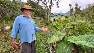 Ele deixou a cidade grande e veio morar no sítio Cercado de montanhas na serra  da Mantiqueira…