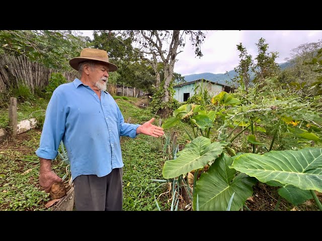 ￼ Ele deixou a cidade grande e veio morar no sítio Cercado de montanhas na serra ￼ da Mantiqueira… class=